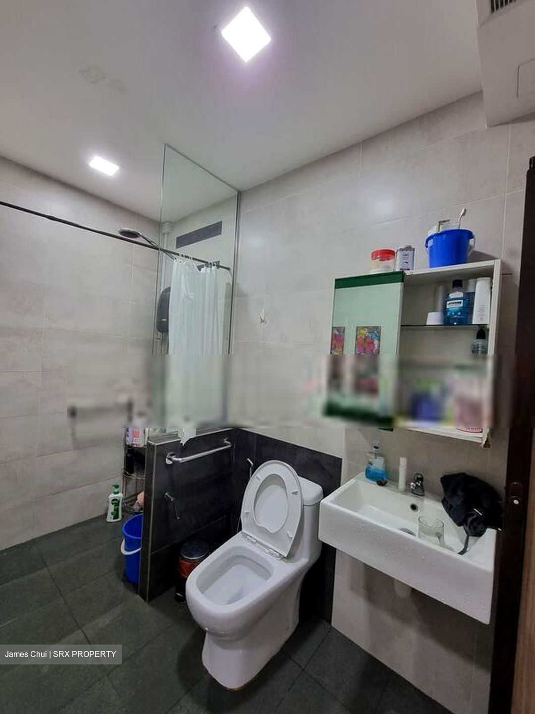 Tiong Bahru Estate (D3), Apartment #413905301